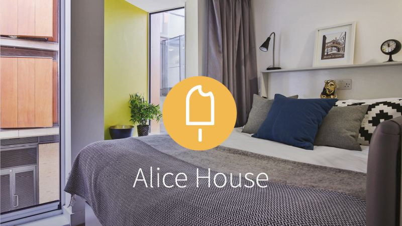 Stay at Alice House for Summer 2021